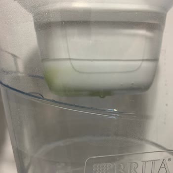 Brita Sürahi Yosunlanma Problemi