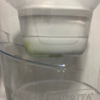 Brita Sürahi Yosunlanma Problemi