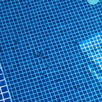 Villa Durağı Villa Kiralama Deneyimi