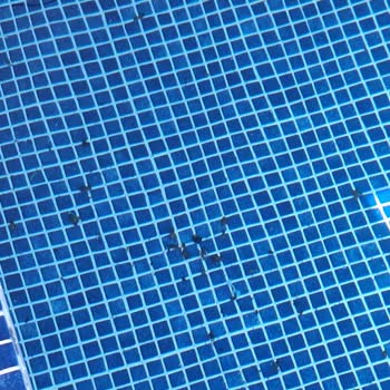 Villa Durağı Villa Kiralama Deneyimi