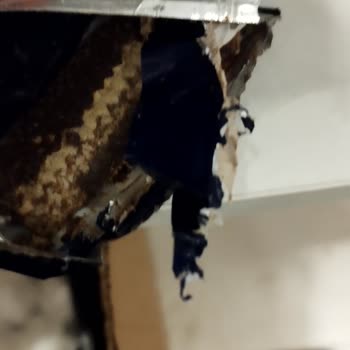Biscolata Bayat Kapalı Gofret