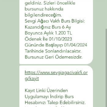 P*****a Sevgi Ağacı Vakfı Burs Başvuru Tehlikesi