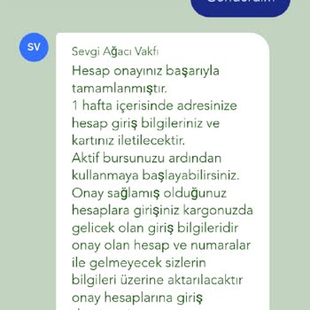 P*****a Sevgi Ağacı Vakfı Burs Başvuru Tehlikesi