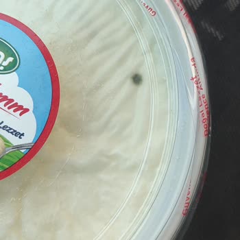Sütaş Kaymaklım Yoğurt Küflenme Sorunu