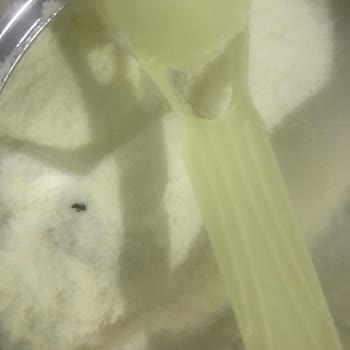 Nestlé İyi Büyüsün İyi Yaşasın Sma Mama İçerisinden Böcek Çıktı