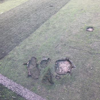 Keçiören Belediyesine Bağlı Mahalle Perişan Durumda