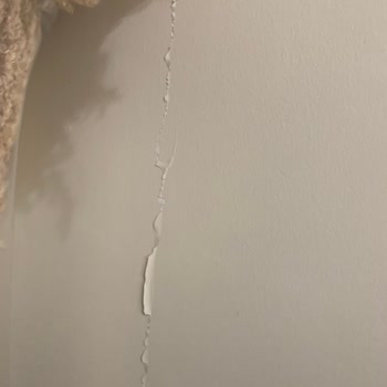 DASK (Doğal Afet Sigortaları Kurumu) Sorumsuz Çalışması