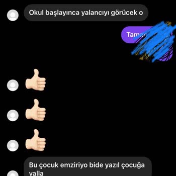 Milli Eğitim Bakanlığı (MEB) Öğretmenlik Mesleğine Uygun Olmayan Davranışlar