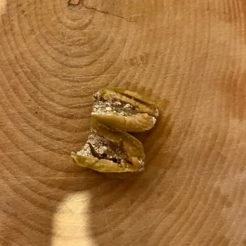 Komili Zeytin Küflenmiş Komili Yeşil Zeytin