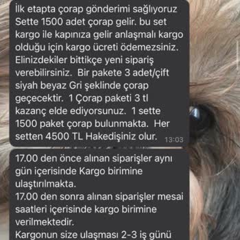 P*****a Çorap Paketleme İşi Adı Altında Bilgi Paylaşımı Ve Para Alım Geri İade