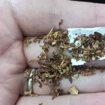 Philip Morris Türkiye Ürünlerinden Son Zamanlarda Gelen Kötü Tat.