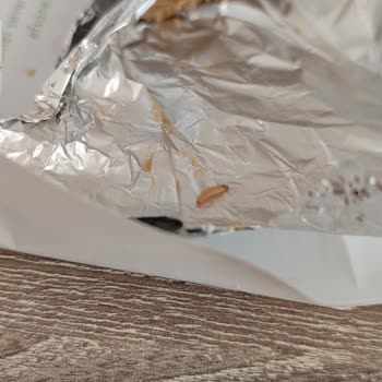 Nestle Çikolatadan Solucan Çıktı