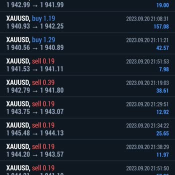 Loyal Brokers Paramı Göndermediler Ve Cevap Yok