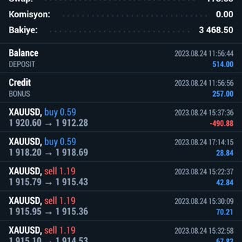 Loyal Brokers Paramı Göndermediler Ve Cevap Yok