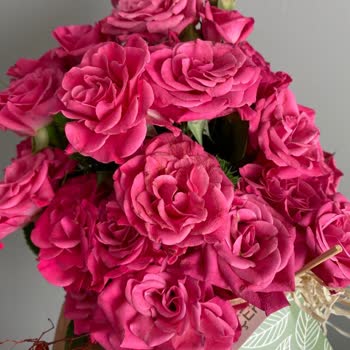 Taze Çiçek (tazecicek.com) Taze Çiçekten Solmuş Çiçekler