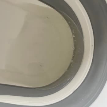 Papatya Halı & Koltuk Yıkama Temizlik Hizmetleri Bambu Halı Yıkayamama