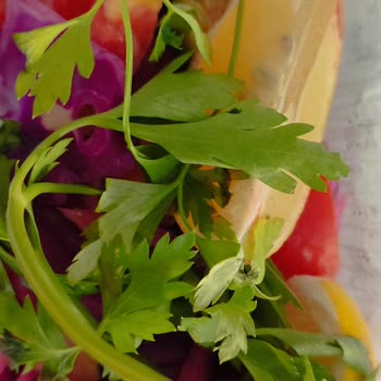 Urfa Kervan Pide Ve Kebap Salonu Bozuk Ve Kokmuş Ürün!