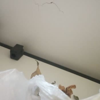 Uğurlu Çeyiz Almış Olduğum Baza Ve Yatak Çökme Ve Kırma Meydana Geliyor