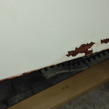 Bosch Washer Turned Nightmare After 15 Months: Mold and Discoloration Unresolved