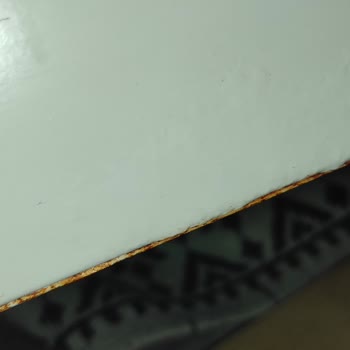 Bosch Washer Turned Nightmare After 15 Months: Mold and Discoloration Unresolved