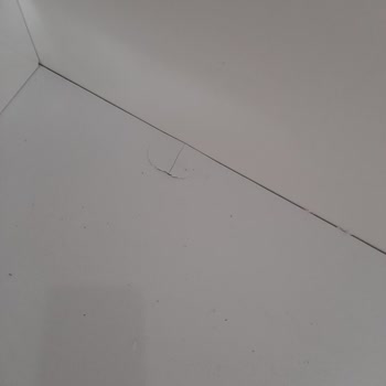 Birimev Birim Ev'in Müşteri Memnuniyetsizliği