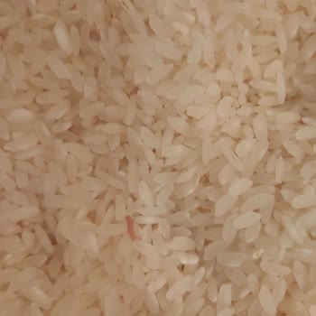 Yayla Bakliyat Migros Agro Üretimi Pirinçten Kurt Çıktı