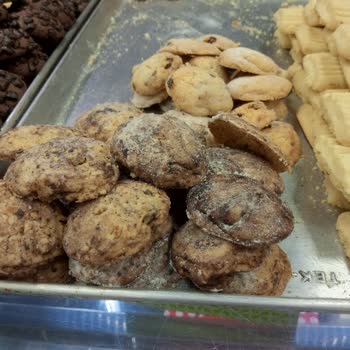 Hasan Ustam İkizler Börek Kuru Pastaların Üzerinde Gezen Büyük Sinek!