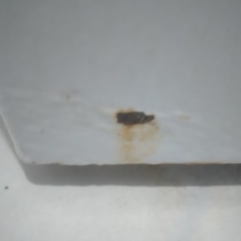 Bosch Çamaşır Makinesi Paslanma Soru