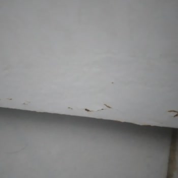 Bosch Çamaşır Makinesi Paslanma Soru