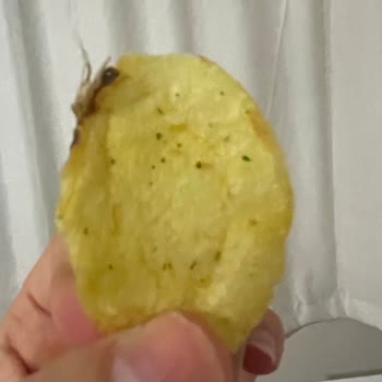 Lays Yoğurt Mevsim Yeşilliği Cipste Çıkan Böcek