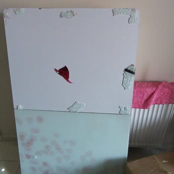 Pelin Nakliyat (Diyarbakır) Taşınma Hizmetinde Yaşanan Sorunlar