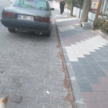 Bergama Belediyesi Vergi Kaçakçılığıyla İlgili Şikayet