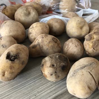 Migros Sanal Market, Siparişlerdeki Özensizlik. Çürük Mal Poşetleme