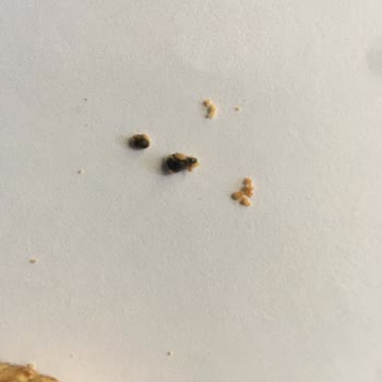 Eti Gıda Bisküvi Paketinde Beklenmedik Bir Bulgu