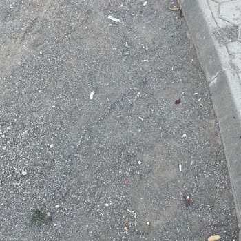 Sincan Belediyesi Park Zemini