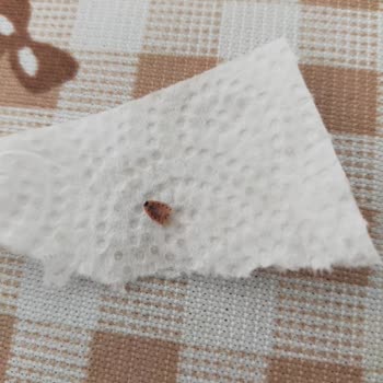 BİM Zeytinden Böcek Çıktı