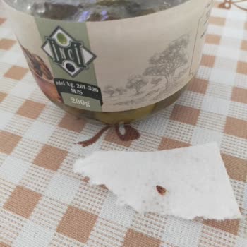 BİM Zeytinden Böcek Çıktı