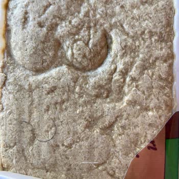 Tarım Kredi Kooperatif Market Tarım Kredi Den Aldığım Üründen Kıl Cıktı