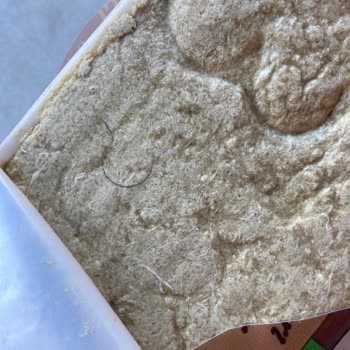 Tarım Kredi Kooperatif Market Tarım Kredi Den Aldığım Üründen Kıl Cıktı