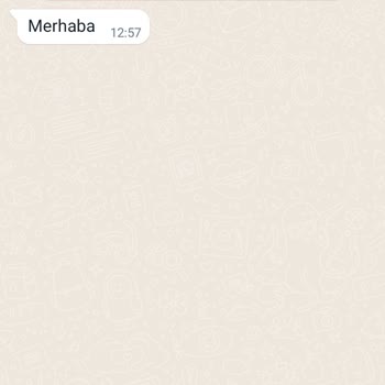 WhatsApp'a Yurt Dışı Şirketten Gelen Mesaj
