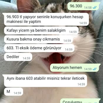 Valor Yatırım Göz Göre Göre 35 Bin Dolarımı Hiç Etti