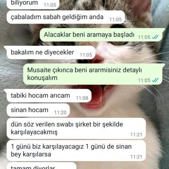 Valor Yatırım Göz Göre Göre 35 Bin Dolarımı Hiç Etti