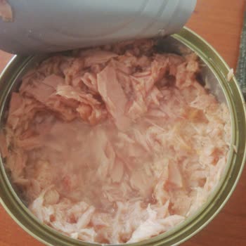 Migros Ton Balığı Konservesi Tadı Kokusu Kötü