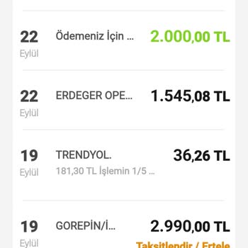 Gorepin A101 Arayüzü İle Sahte Sipariş Verdirerek Para Kazanma