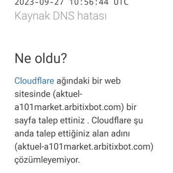Gorepin A101 Arayüzü İle Sahte Sipariş Verdirerek Para Kazanma