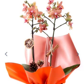 Taze Çiçek (tazecicek.com) Yanlış Hazırlanan Ürün