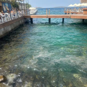 Duja Hotels Bodrum'da Deniz Kirliliği