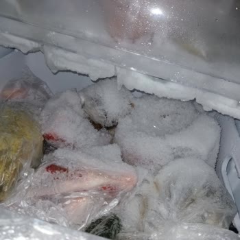 Uğur Soğutma Hatalı Ürün Ve İlgisiz Satıcı