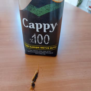 Cappy Karışık Meyve Suyu İçerisinde Siyah Bir Şey Bulundu