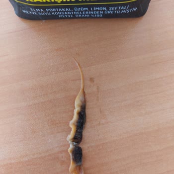 Cappy Karışık Meyve Suyu İçerisinde Siyah Bir Şey Bulundu